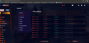 Ekran Alıntısı.PNG